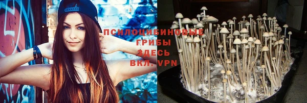 мдпв Лагань